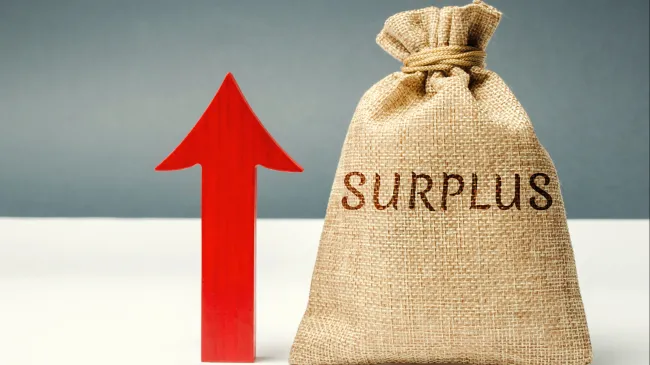 Surplus